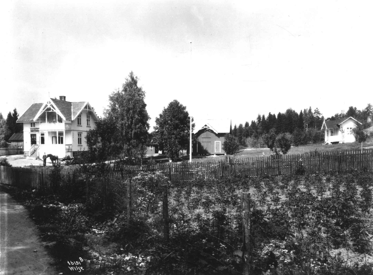 Anders Beer Wilse, Fredbo landhandleri på Høybråten i Oslo.