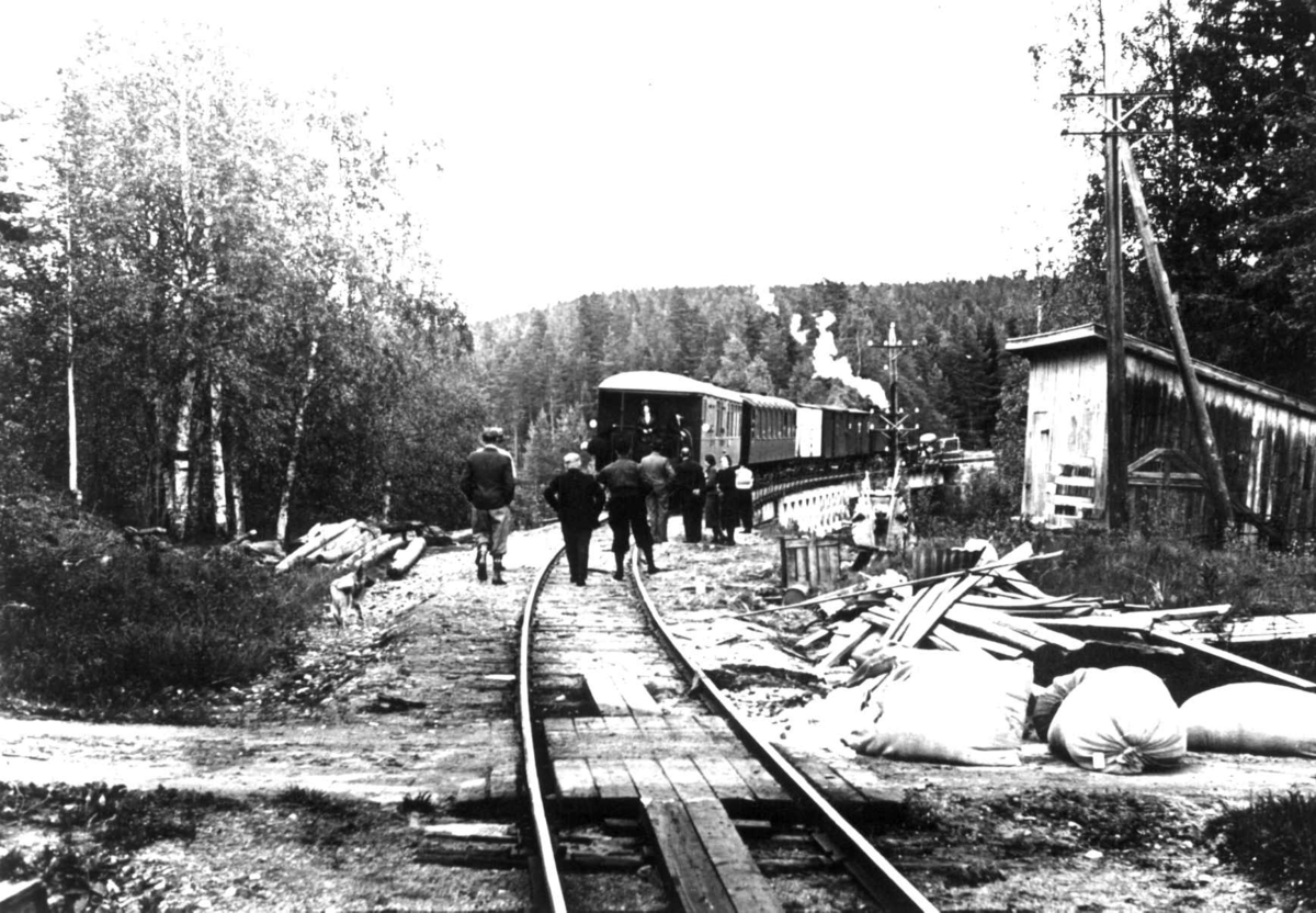 Anna Grostøl, Jernbanespor med tog og mennesker. Sør for Røros, nord for Koppang, Hedmark 1939.