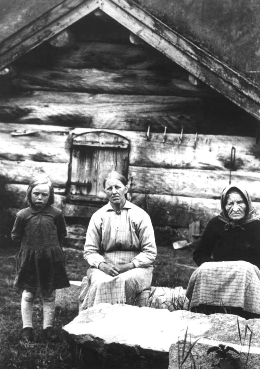 Anna Grostøl, Portrett av to kvinner og en småpikei hverdagsklær utenfor et tømmerhus med torvtak. Ukjent sted 1936.