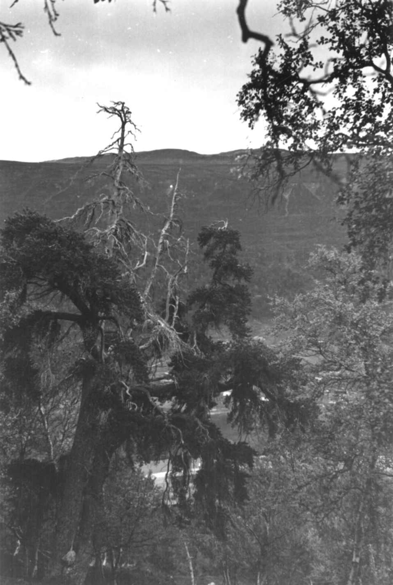 Anna Grostøl, Skjåk, Oppland 1941. Oversiktsbilde fra Sota.