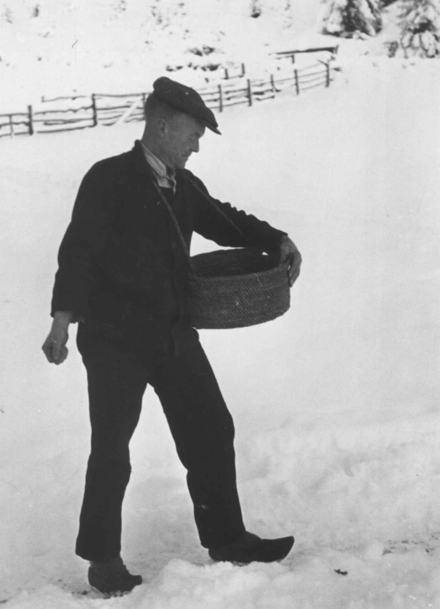 Anna Grostøl, En mann demonstrerer bruken av såkurv til korn. Austagard, Åseral, Vest-Agder 1943.