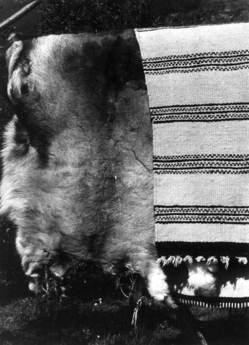 Anna Grostøl, Greneteppe ved siden av et skinn. Lyngen, Troms 1947.