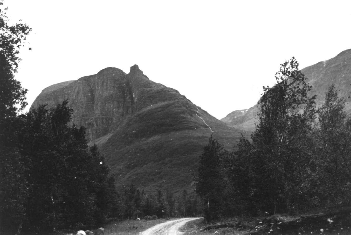 Anna Grostøl, Landskap med vei skog og fjell i Olderdalen, Kåfjord, Troms 1947.