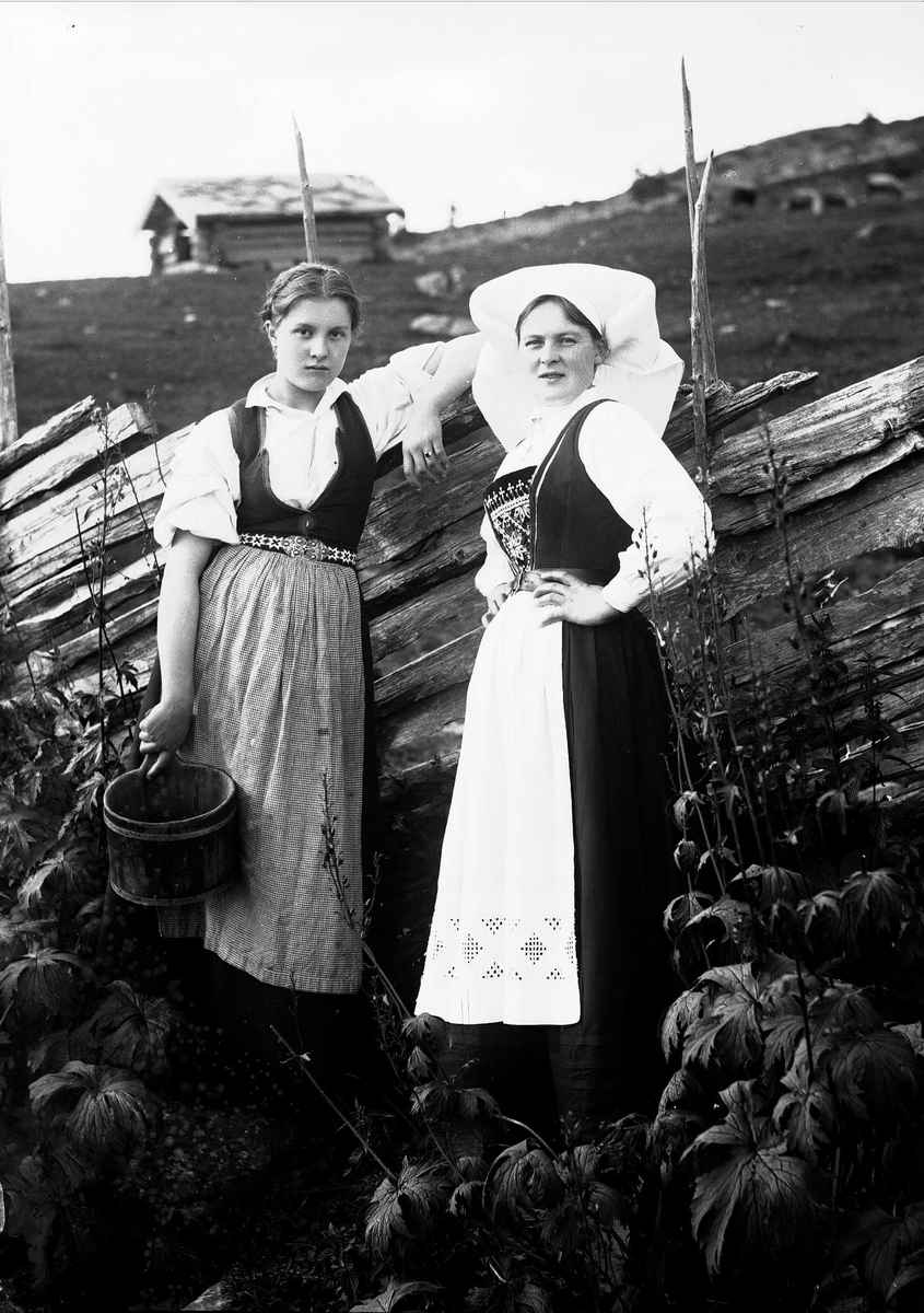 Solveig Lund, To kvinner i Hardangerdrakt står lent mot skigard. Den ene holder en bøtte i hånden. I bakgrunnen sees fjellside og seter.