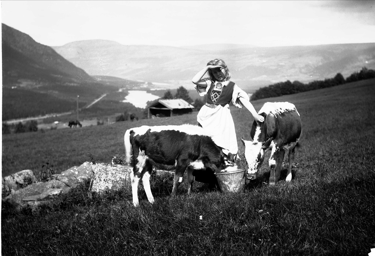 Solveig Lund, Antakelig Aagot Hunder i nasjonaldrakt som klapper to kalver som spiser av bøtte. Seter og fjell i bakgrunnen ved Hunder gård i Øyer. Drakten er kun for fotograferingen og hører egentlig ikke hjemme i dette området hvor bildet er tatt. Man kan se Dovrebanen under bygging til venstre i bildet mot no…