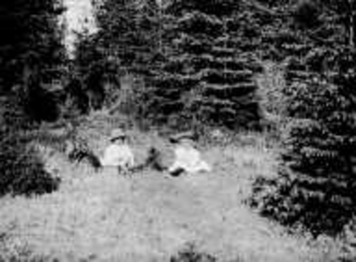 Axel Quinsgaard Wiborg, Karen, Gudrun Q. Wiborg og hunden Freya i gresset, Gamle Digerud, Frogn, Akershus, 1899.