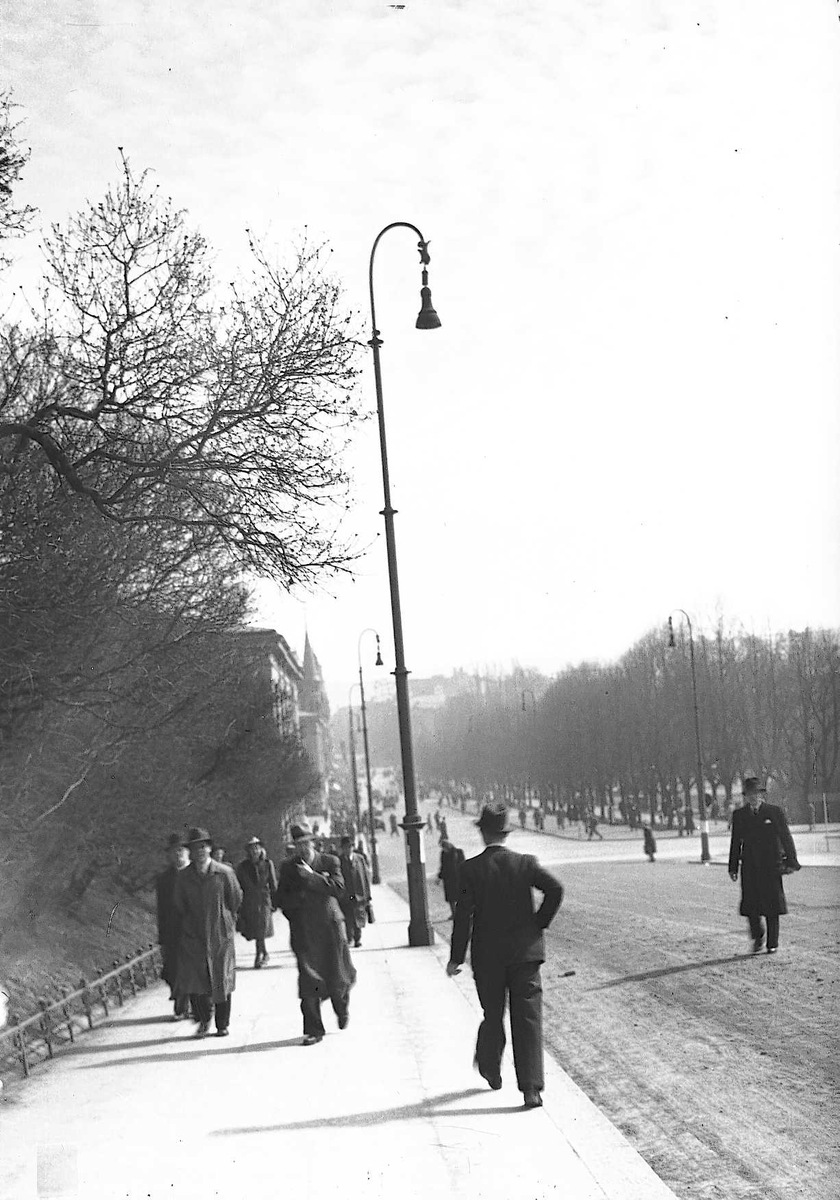 Axel Quinsgaard Wiborg, Bilde fra Slottsbakken mot Karl Johans gate, Oslo.