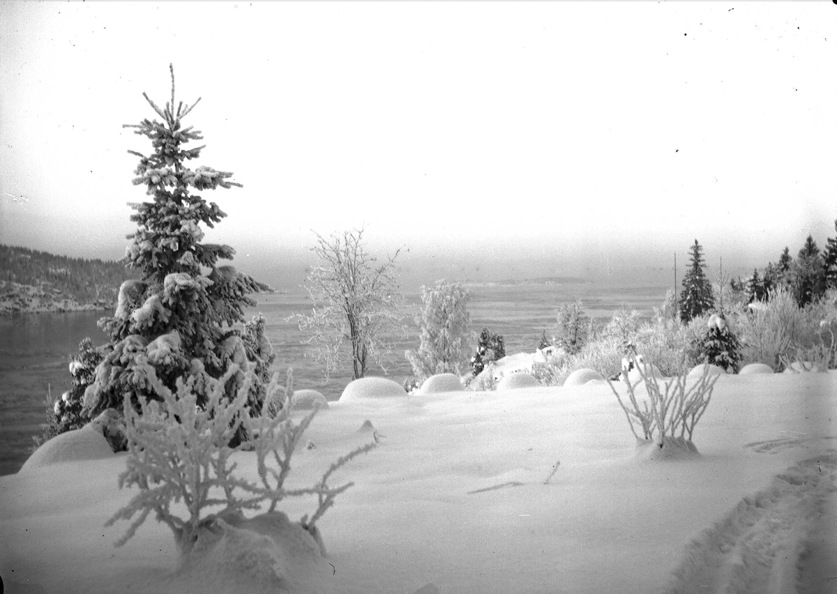 Axel Quinsgaard Wiborg, Vinterbilde fra Digerud, Frogn, Akershus, 1908.