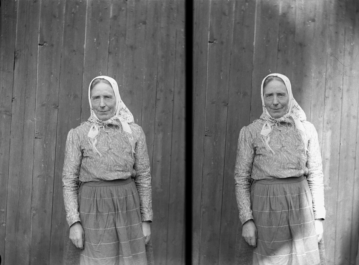 Axel Quinsgaard Wiborg, Portrett av Lisa på Holoa seter, Hadeland, Jevnaker, Oppland, april 1906.