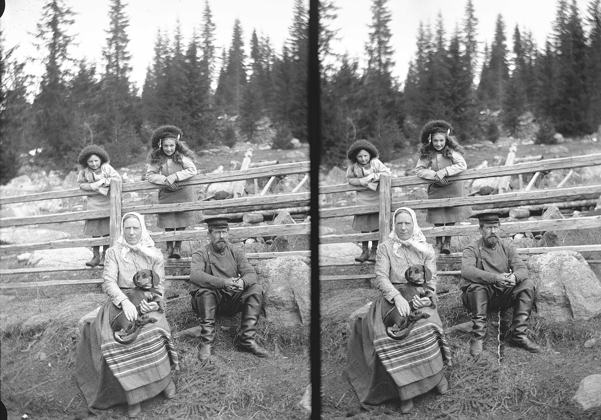 Axel Quinsgaard Wiborg, Karen og Gudrun Q. Wiborg, Gulbrand og Lisa med hund ved gjerde på Holoa seter, Hadeland, Jevnaker, Oppland, april 1906.