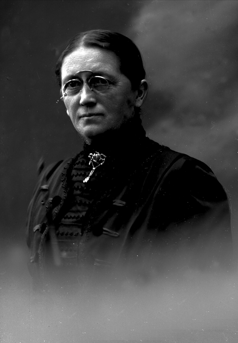 Gustav Borgen, NFB.04791