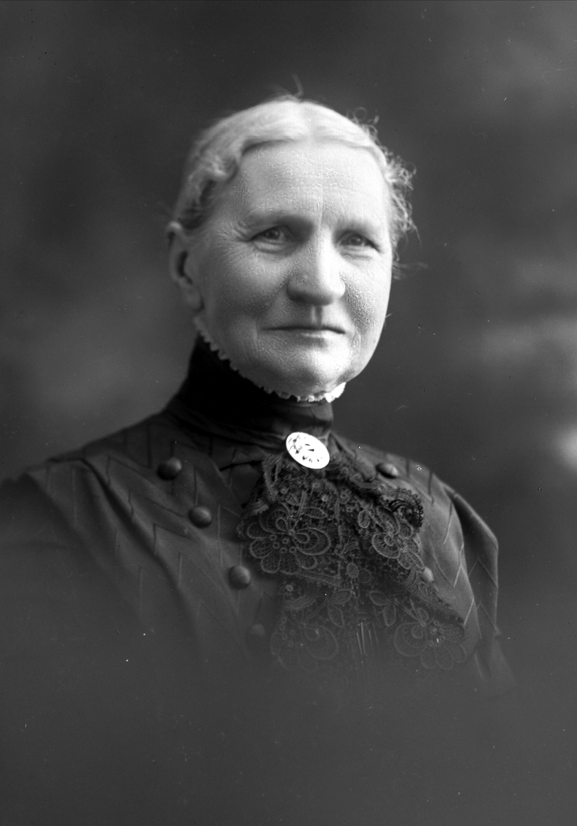 Gustav Borgen, NFB.05094