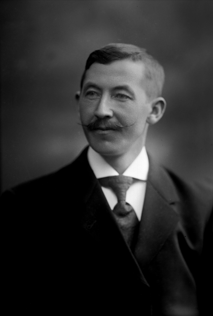 Gustav Borgen, NFB.05196