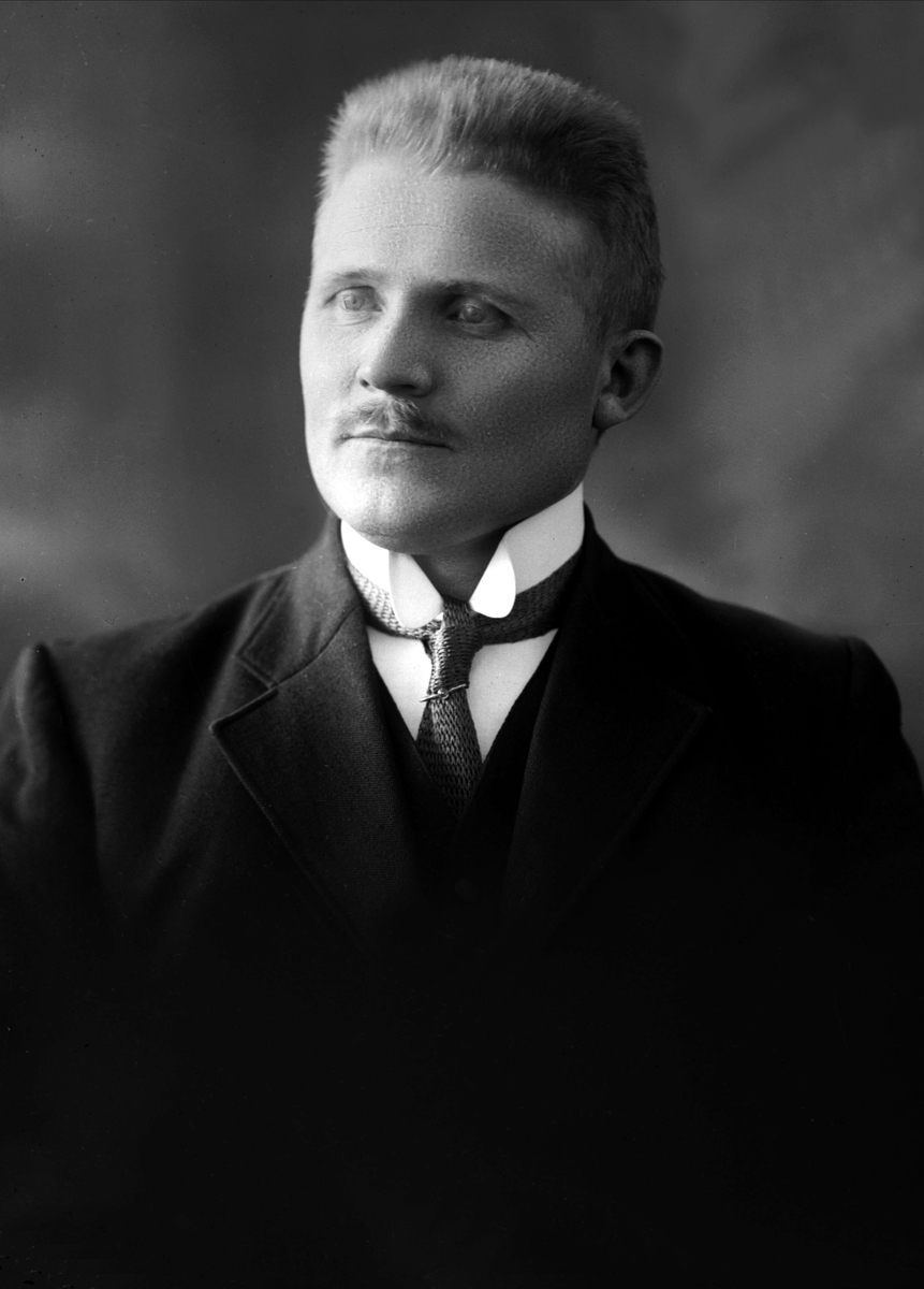 Gustav Borgen, NFB.08014