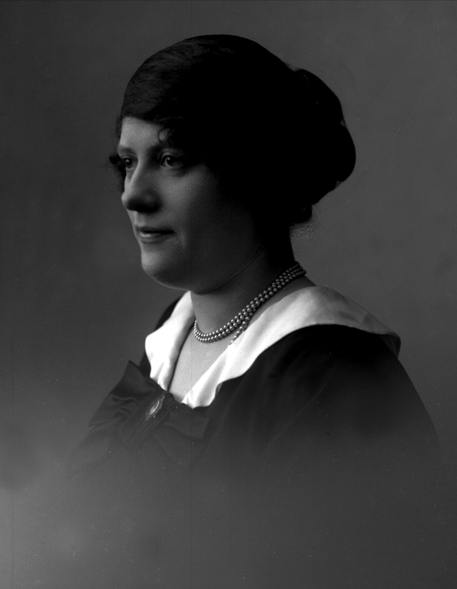 Gustav Borgen, NFB.08515