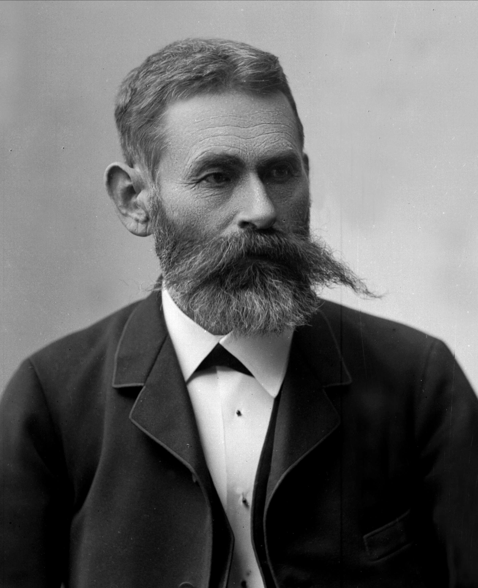 Gustav Borgen, Portrett, Jonas Smitt, født 20. mai 1836, fødested Nordre Land, Oppland, død 28. mars 1905, dødssted Kristiania. Landbruksdirektør.