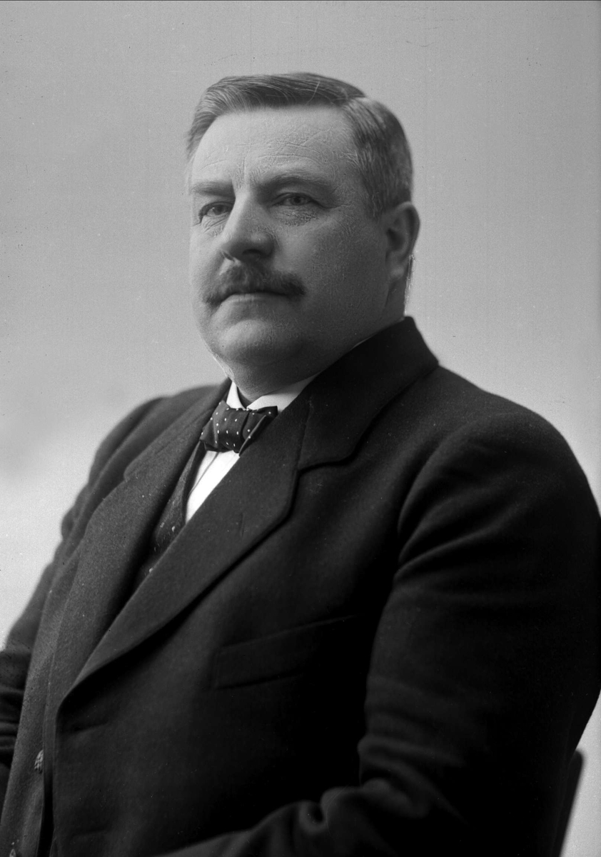 Gustav Borgen, Portrett av Harald Viker.