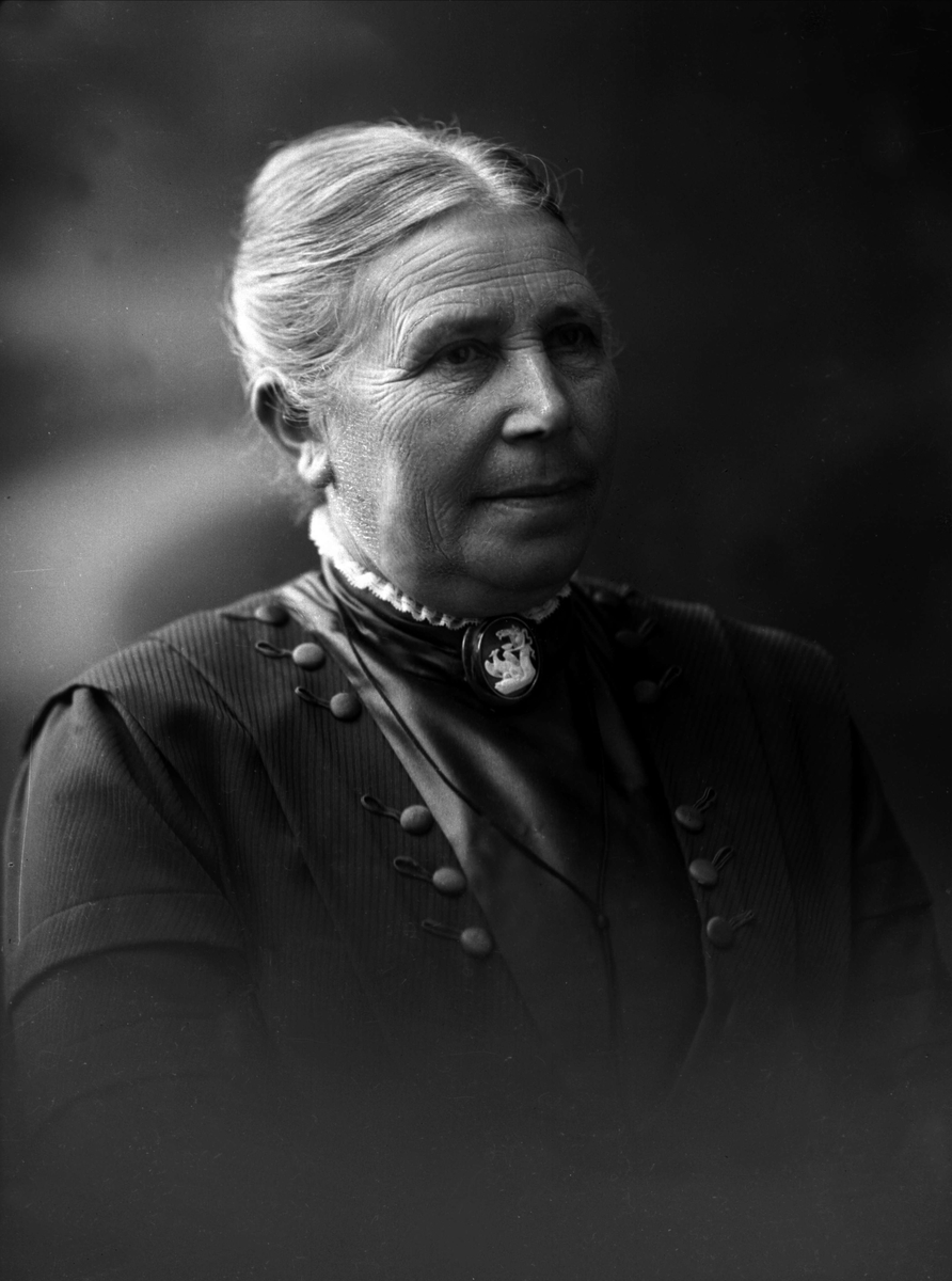Gustav Borgen, NFB.08945