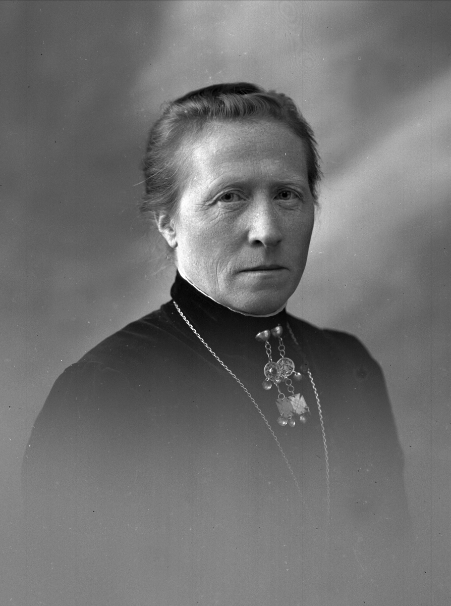 Gustav Borgen, NFB.09903