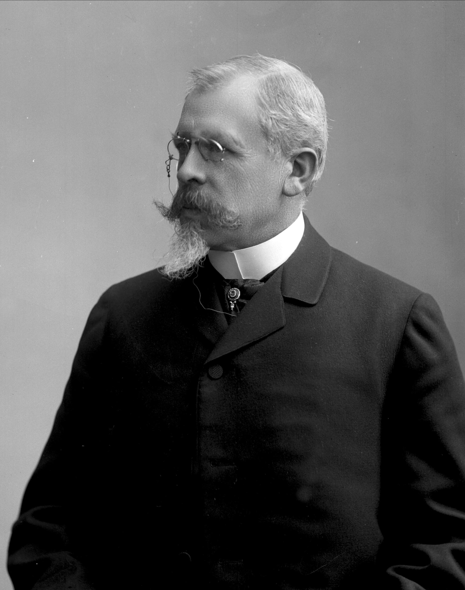 Gustav Borgen, Portrett, Fredrik Meltzer Brun (født 1848).