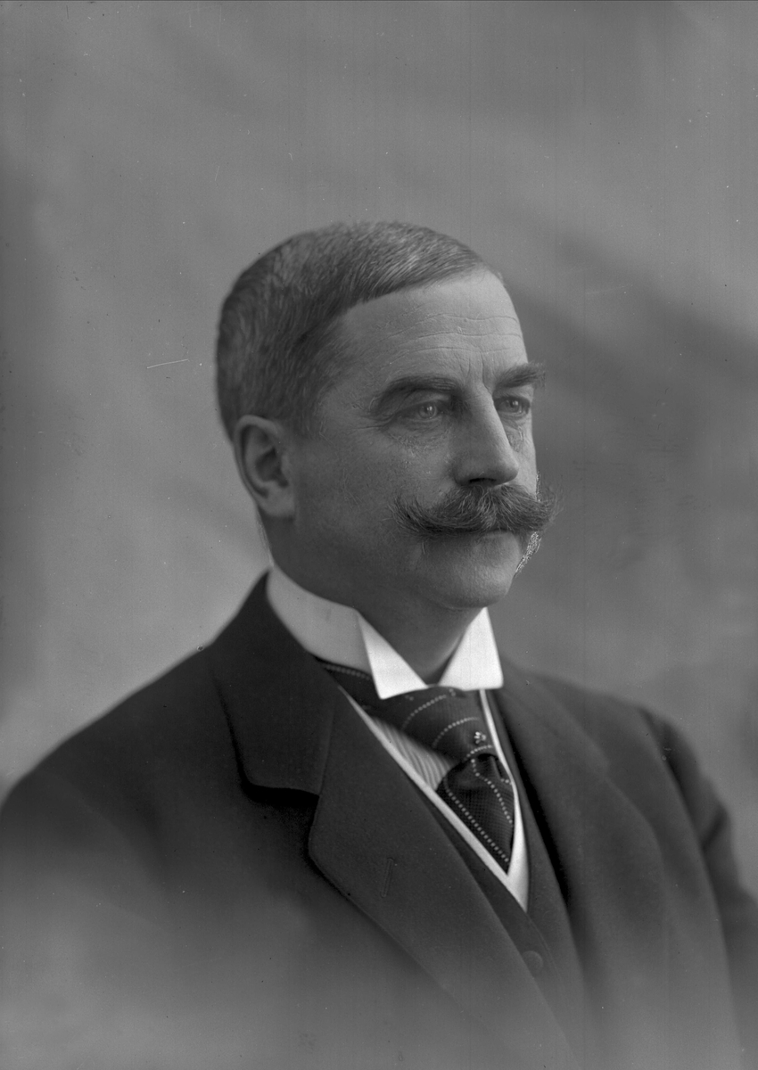 Gustav Borgen, Portrett, Ivar Aavatsmark.