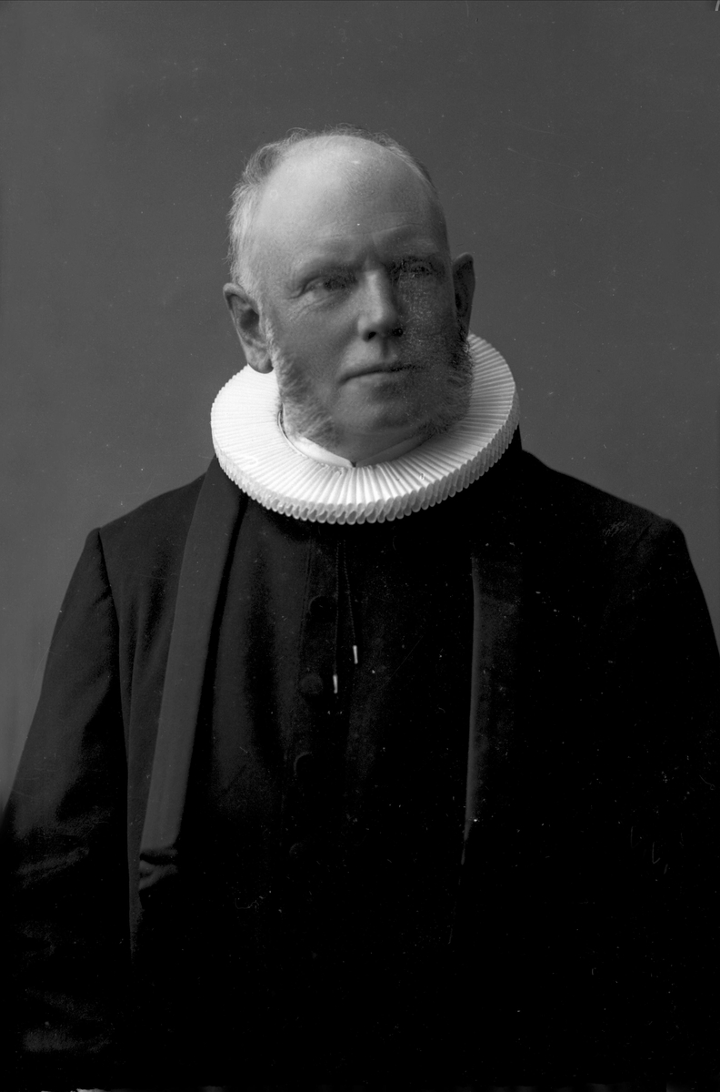 Gustav Borgen, Portrett, en prest, pastor Rynning.