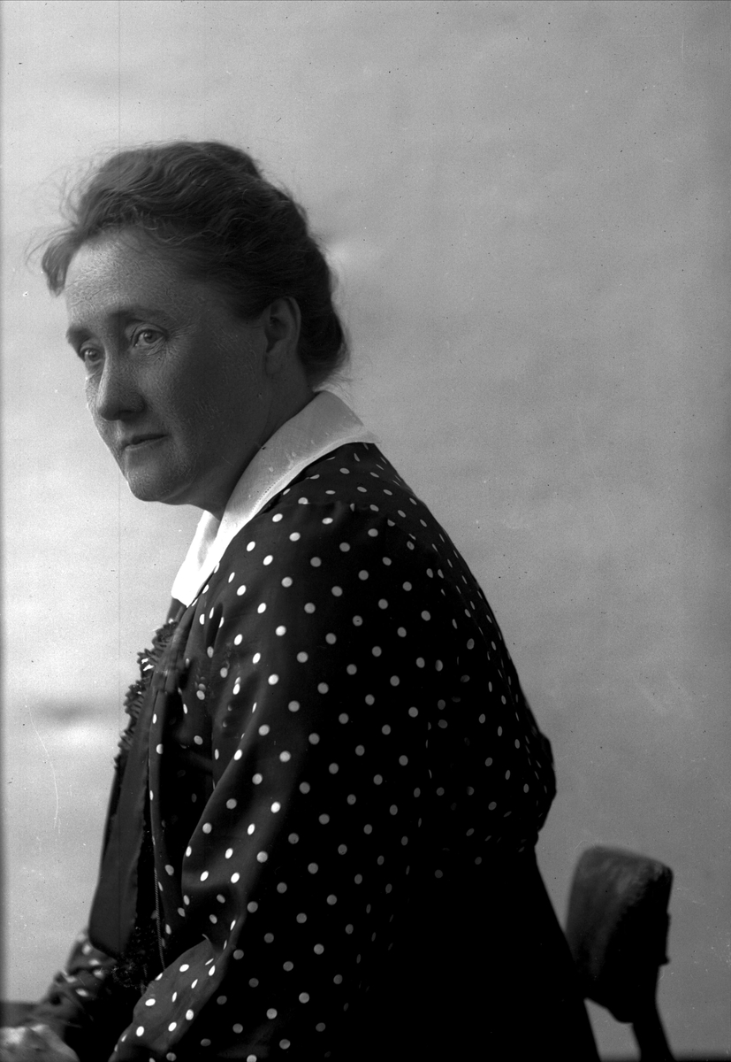 Gustav Borgen, NFB.11743