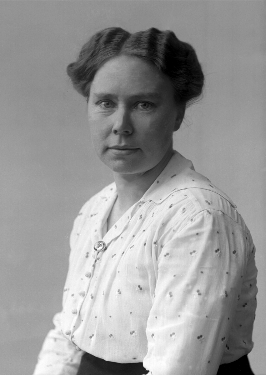 Gustav Borgen, NFB.11870