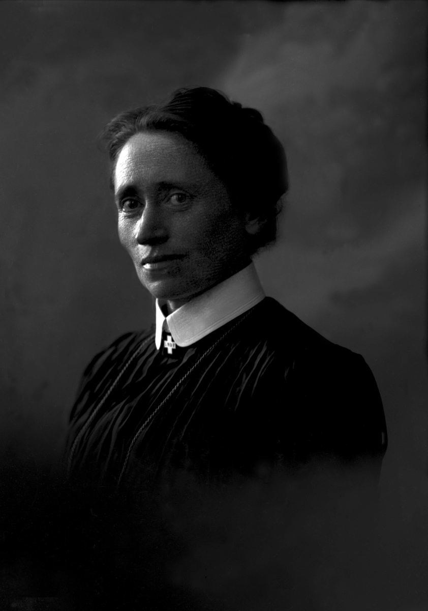 Gustav Borgen, NFB.11877