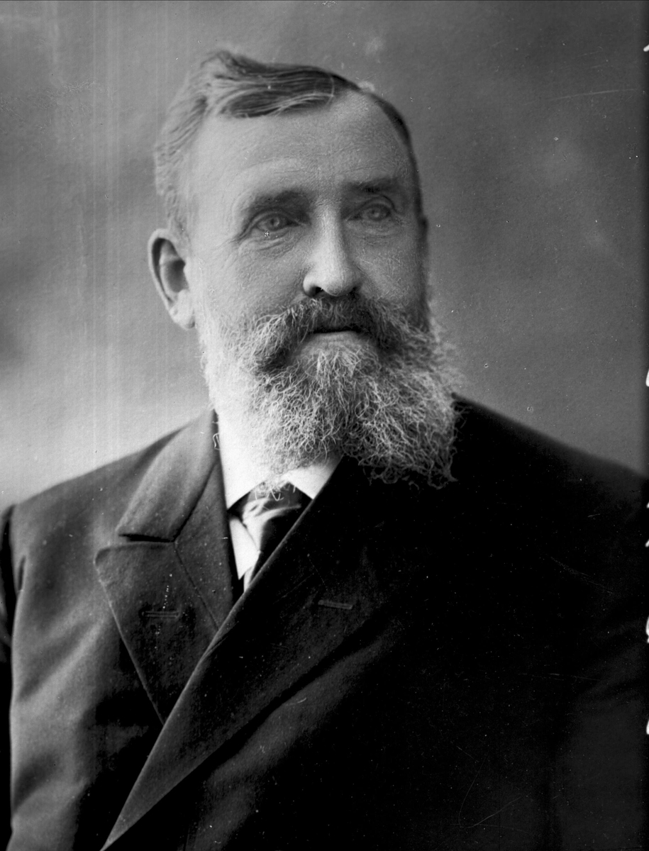 Gustav Borgen, NFB.12463