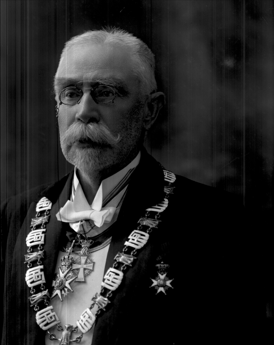 Gustav Borgen, Portrett, rektor ved universitetet i Oslo. Professor Morgenstjerna.