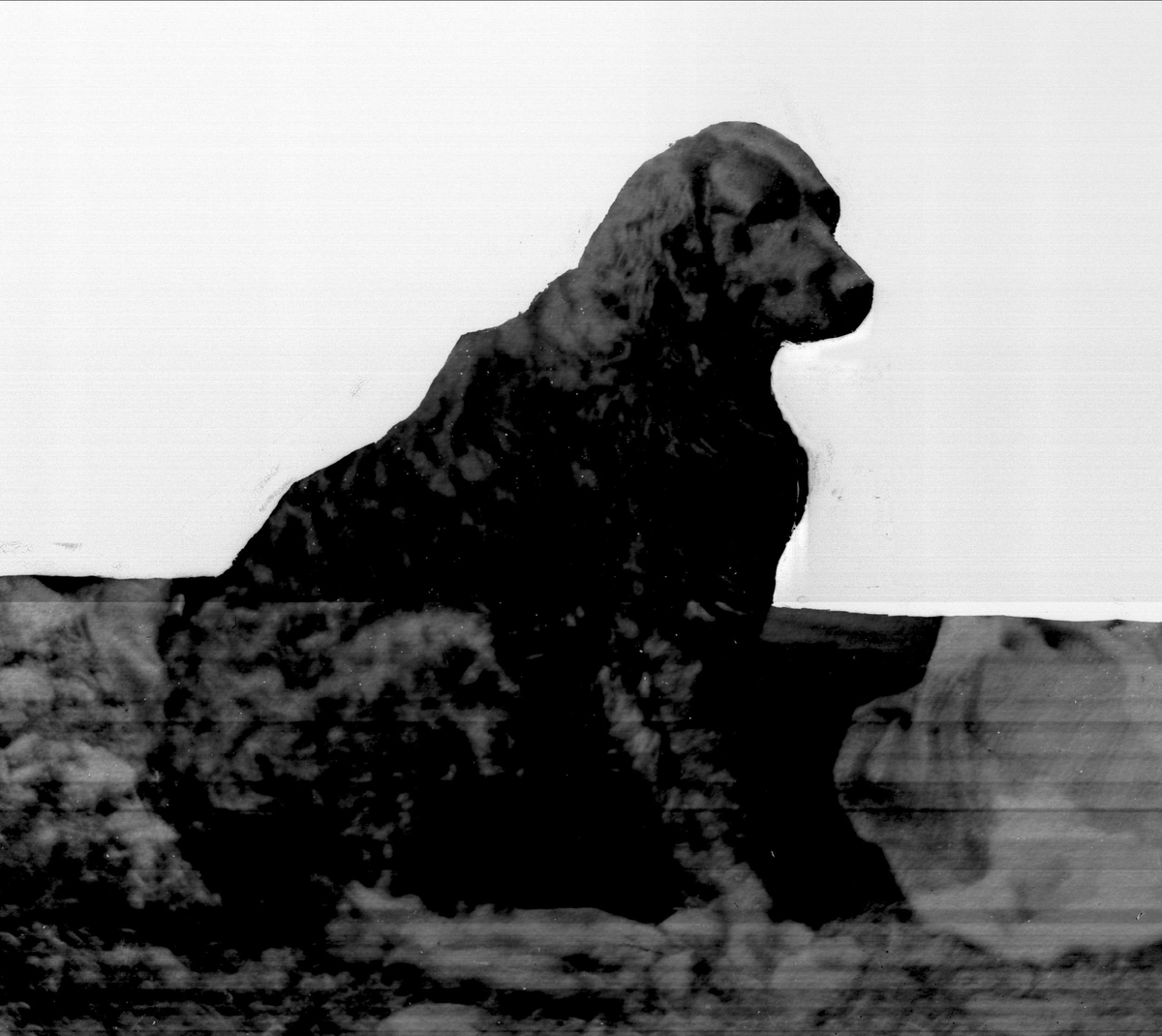 Gustav Borgen, Portrett, hund.