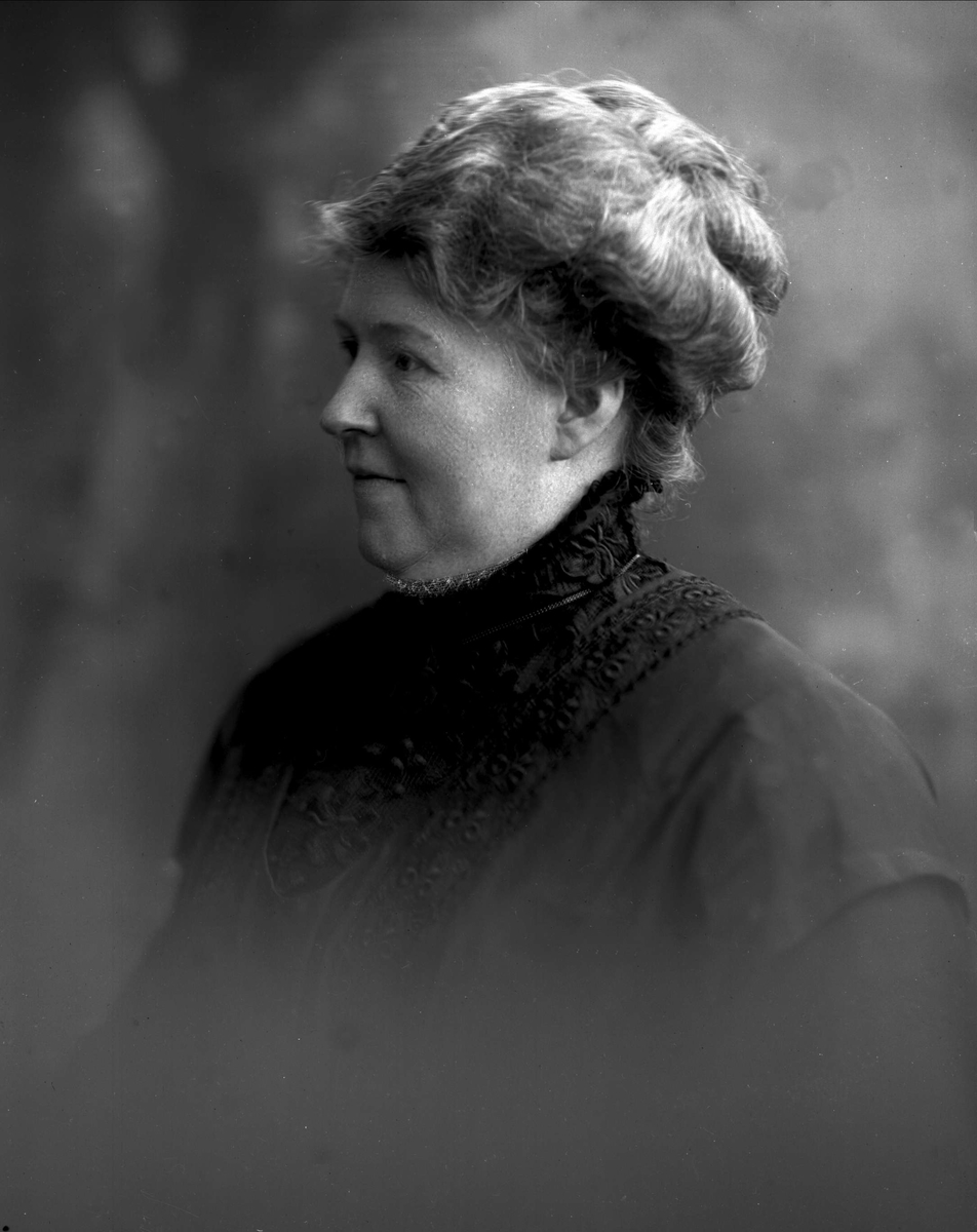 Gustav Borgen, NFB.19049