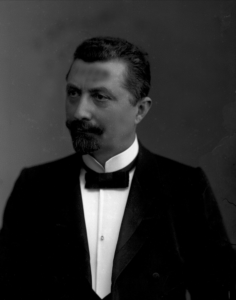 Gustav Borgen, NFB.19622