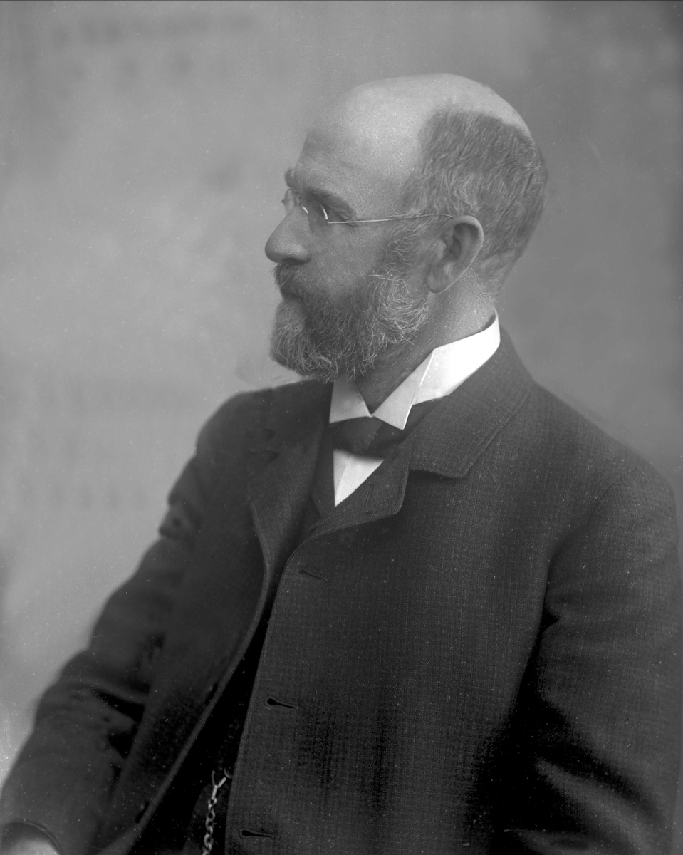 Gustav Borgen, NFB.19753