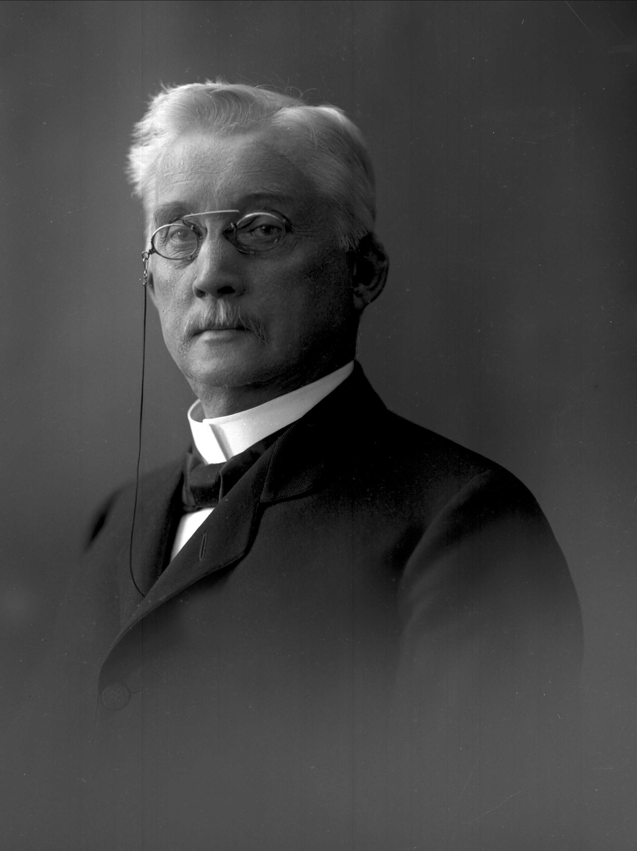Gustav Borgen, NFB.20013