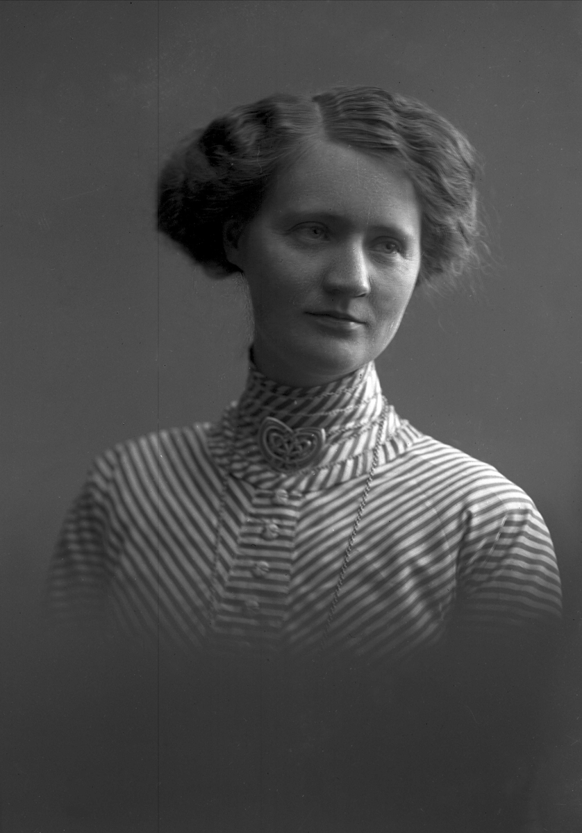 Gustav Borgen, NFB.20938