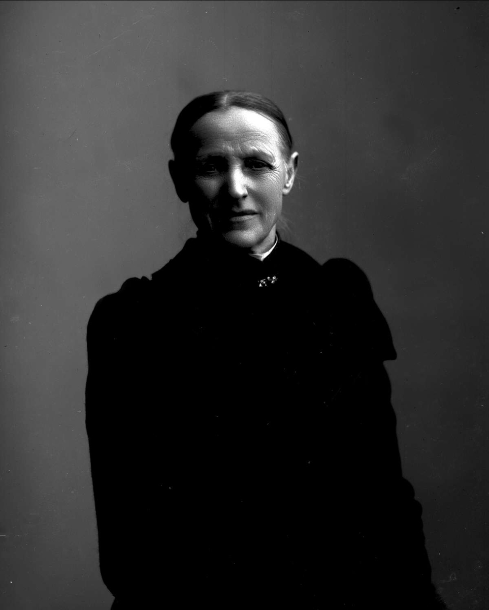 Gustav Borgen, NFB.24348