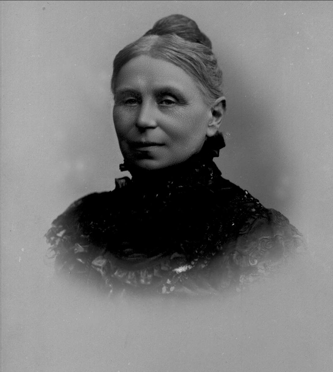 Gustav Borgen, Avfotografering.