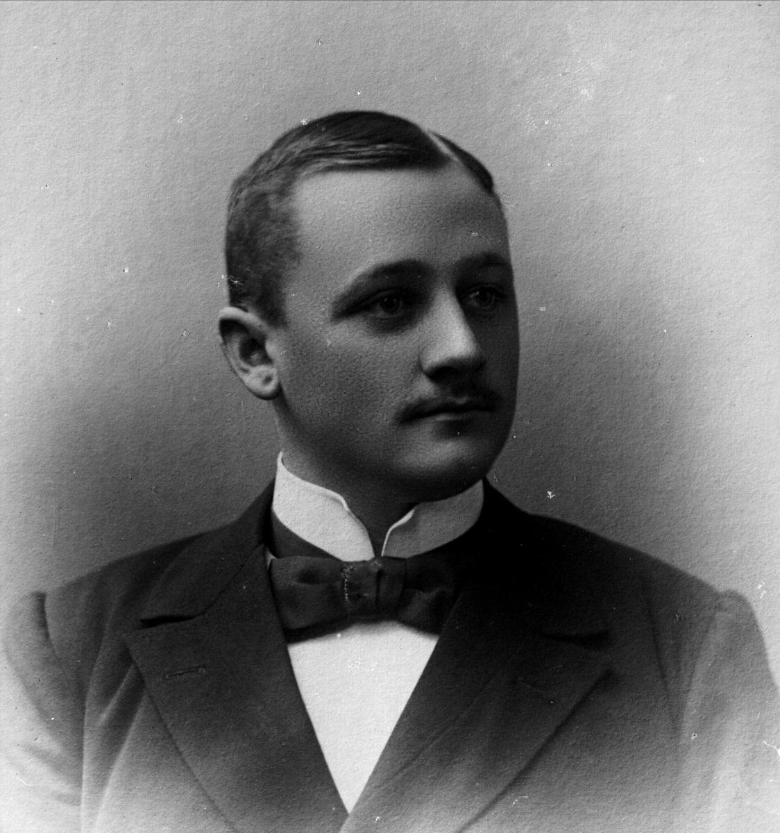 Gustav Borgen, Avfotografering.