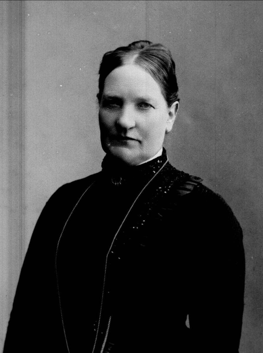 Gustav Borgen, NFB.24597