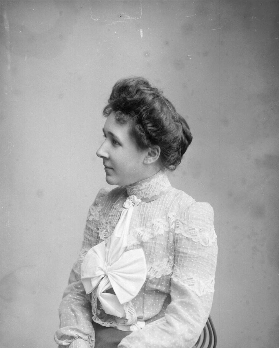 Gustav Borgen, NFB.24679