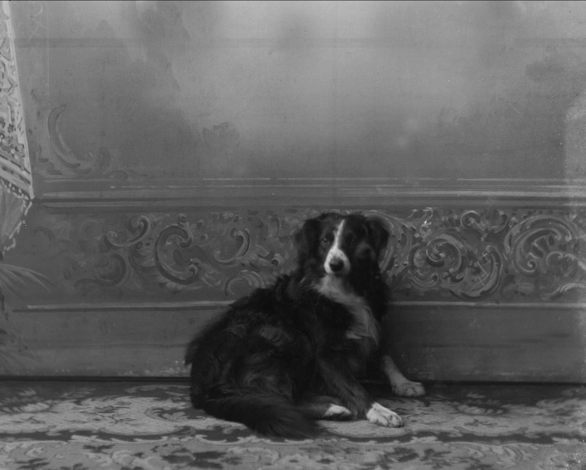 Gustav Borgen, Portrett, en hund.