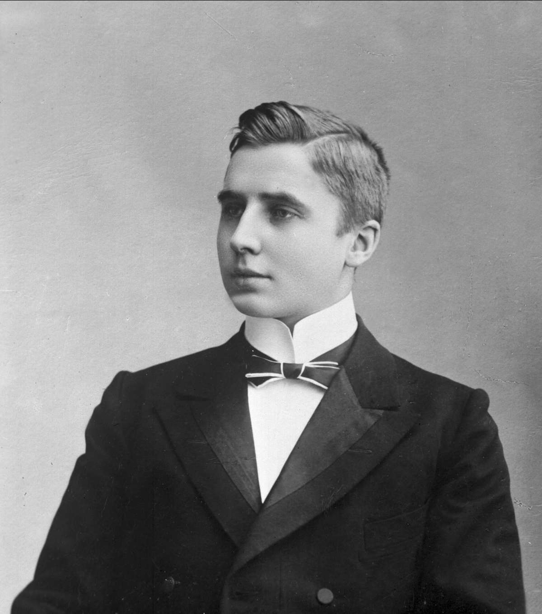 Gustav Borgen, Avfotografering.