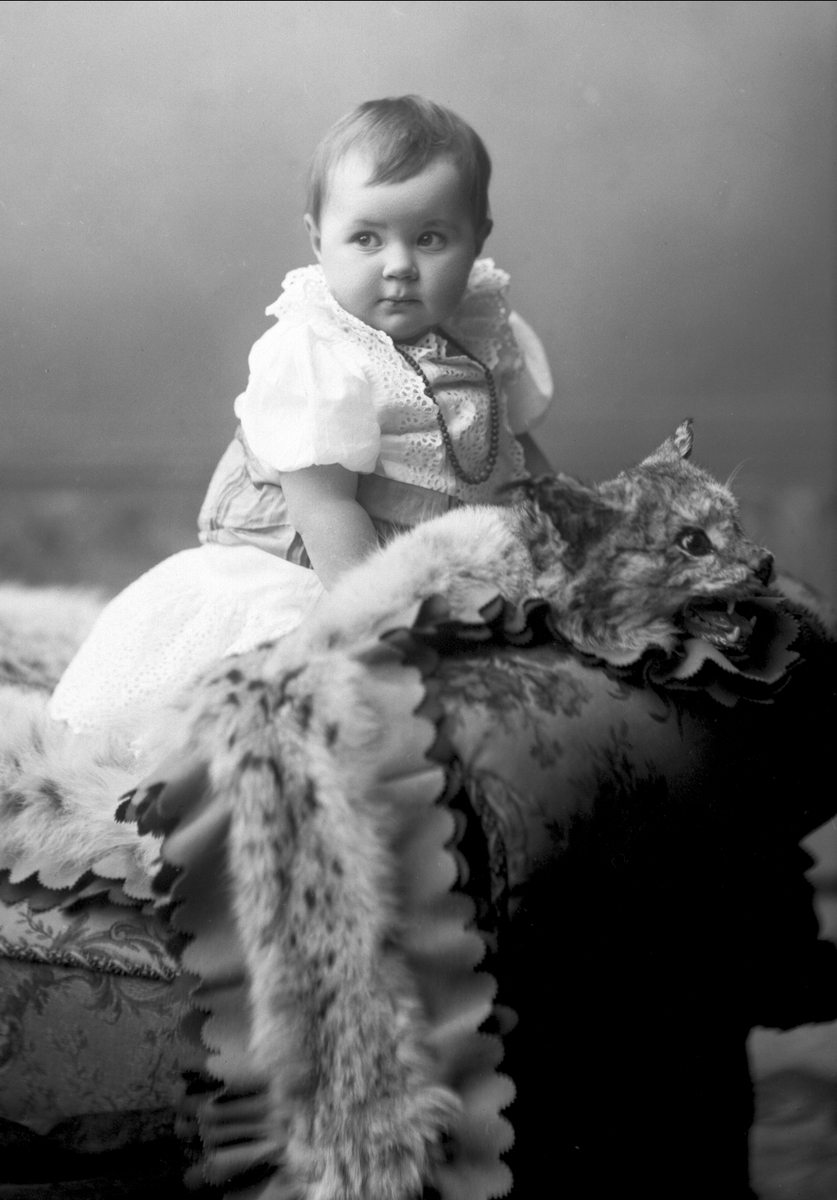 Gustav Borgen, NFB.25655