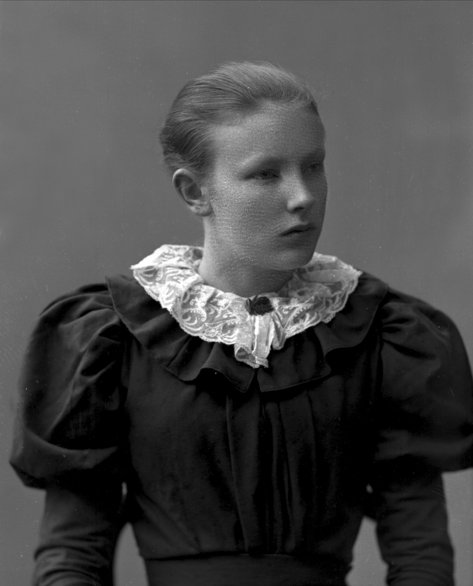 Gustav Borgen, NFB.27397
