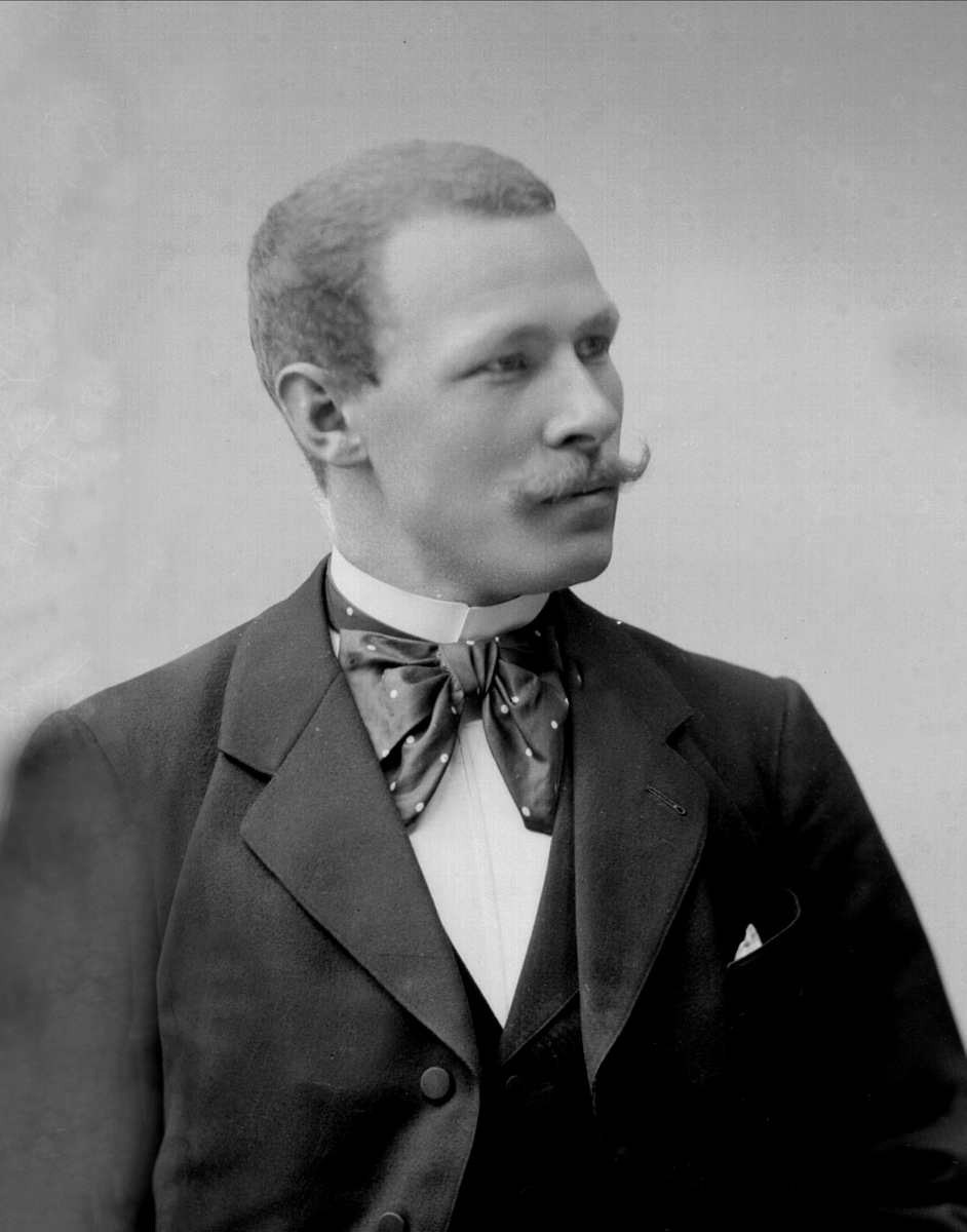 Gustav Borgen, NFB.34785