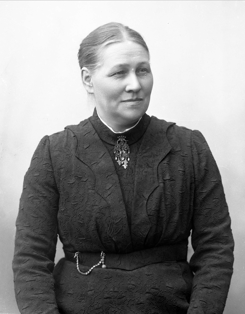 Gustav Borgen, NFB.36150
