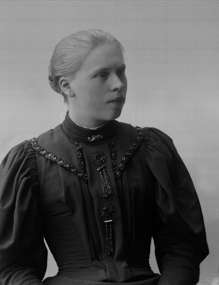 Gustav Borgen, NFB.38270