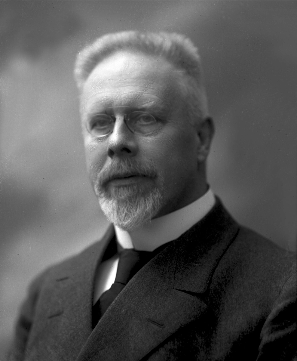 Gustav Borgen, NFB.41219